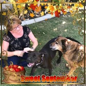 Meet your Posher, Linda